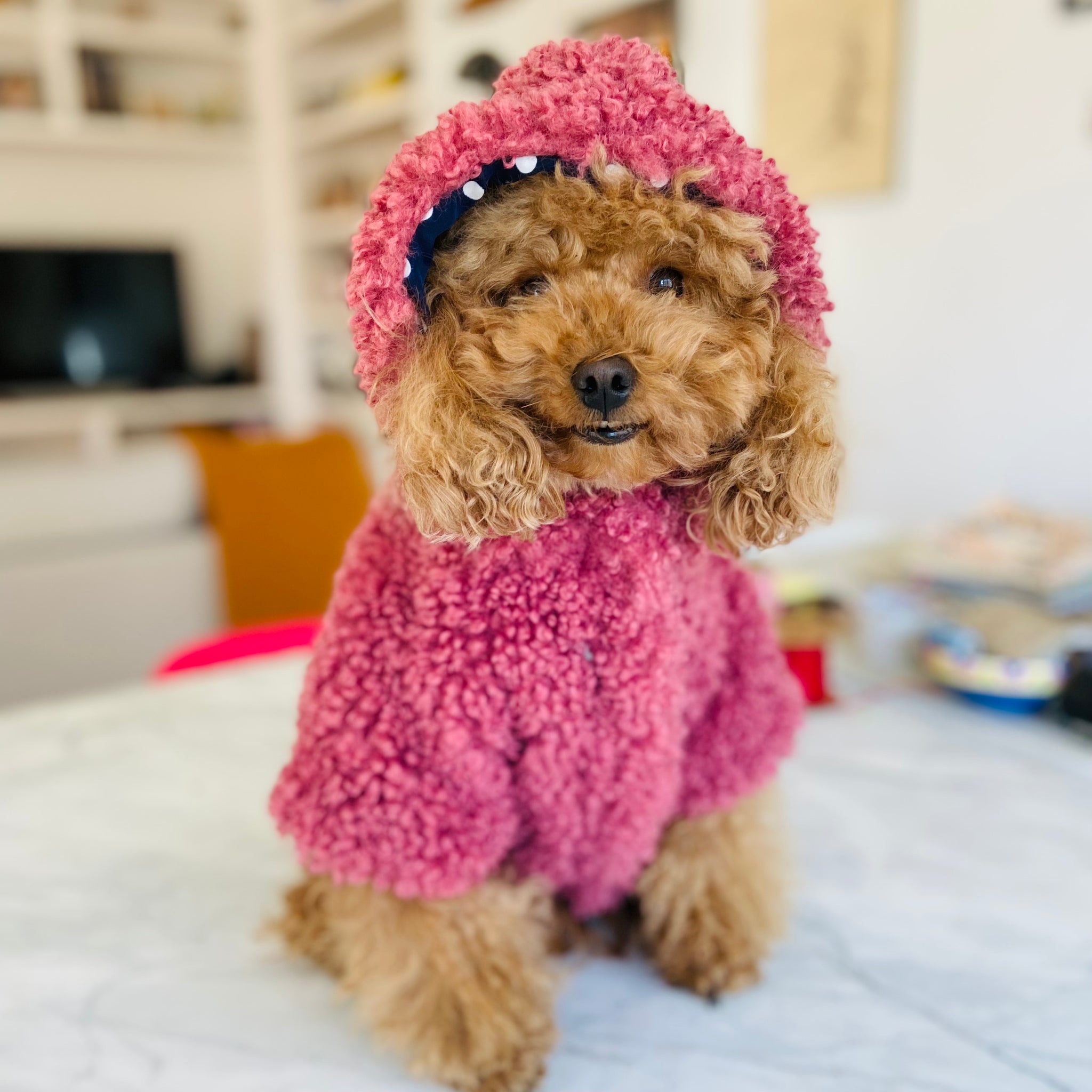 Teddy jacket with hood - Pink