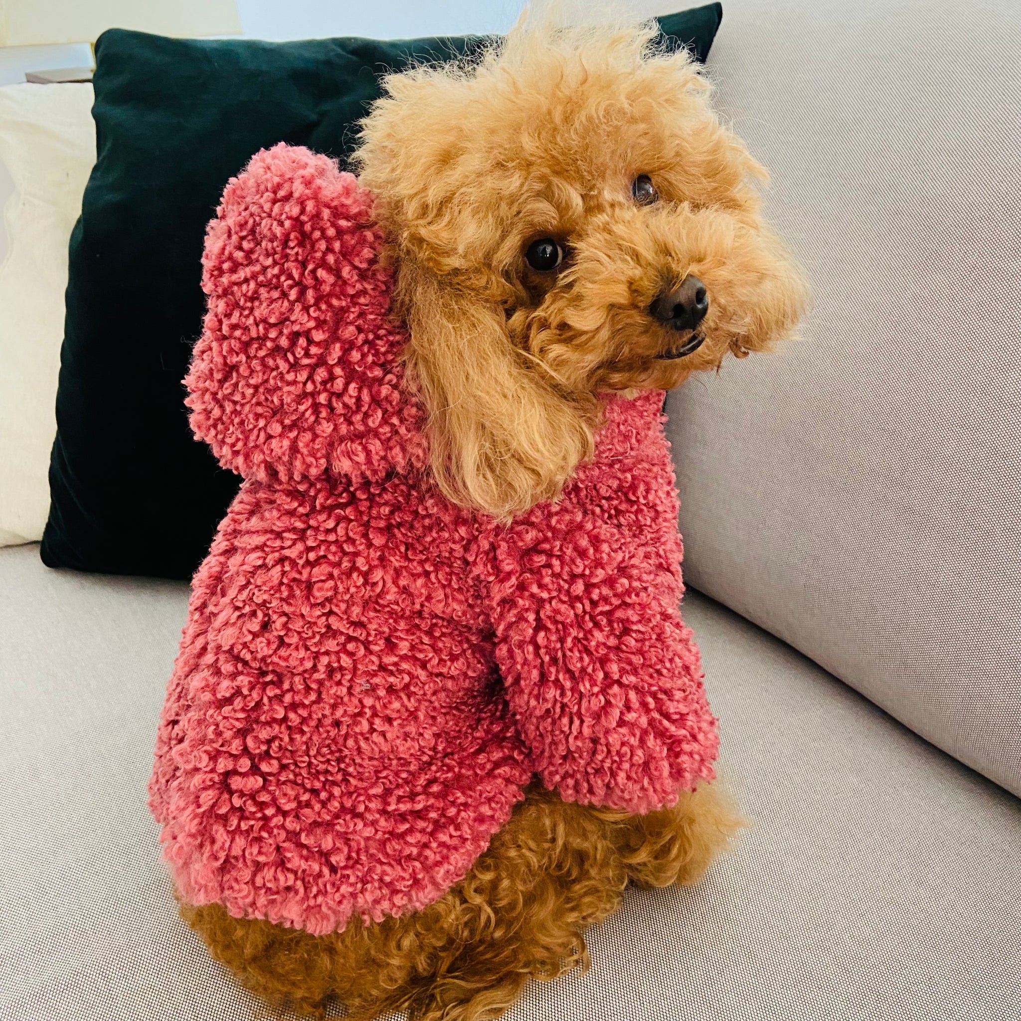Giacca Teddy con cappuccio - Pink