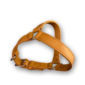 Camel leather harness