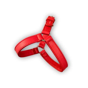 Red leather harness