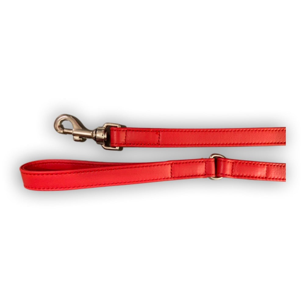 Red leather harness