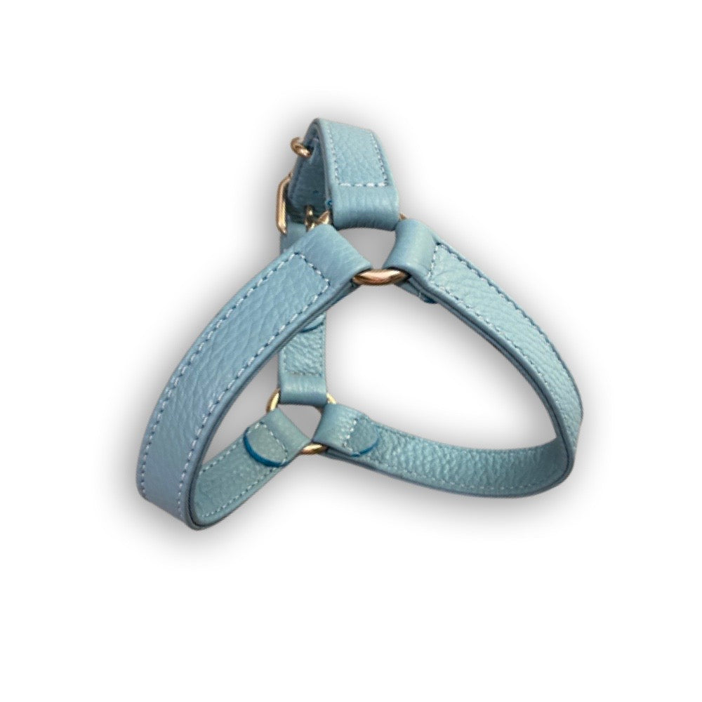 Light blue leather harness