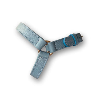 Light blue leather harness