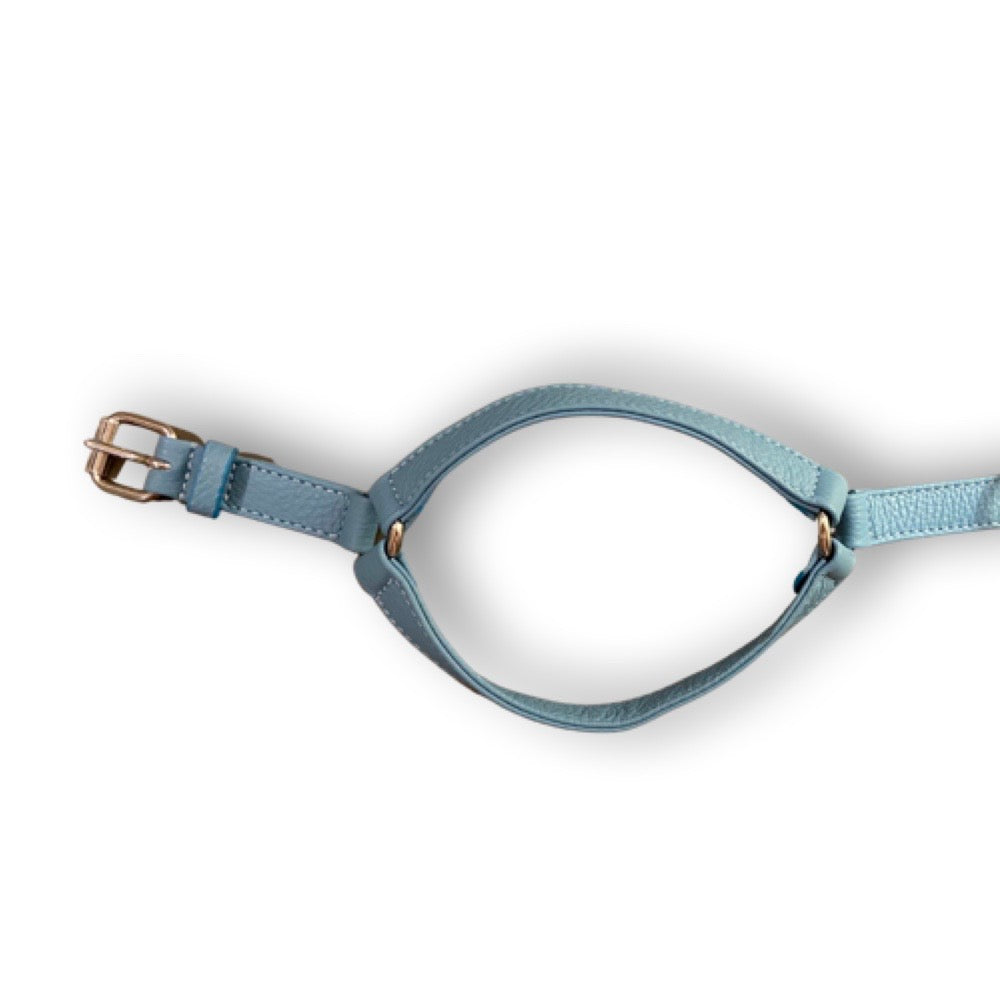 Light blue leather harness