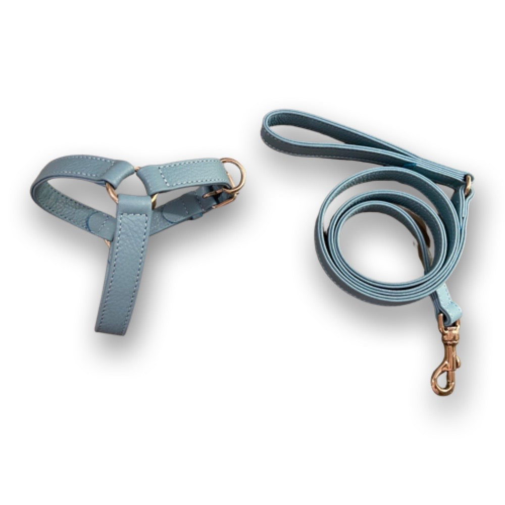 Light blue leather harness