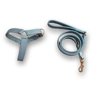 Light blue leather harness