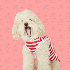 Vest - white and red