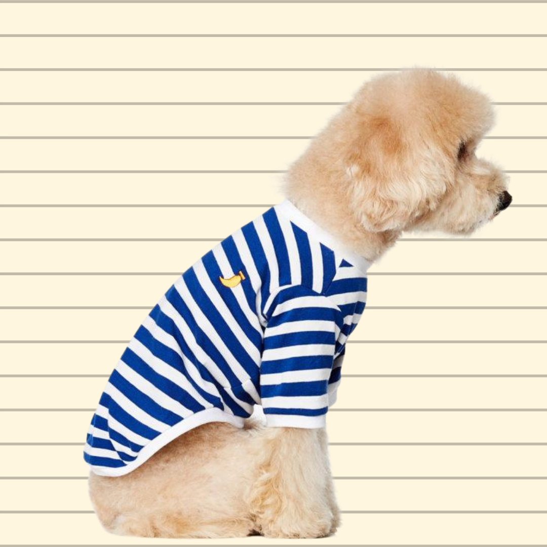 Striped T-shirt - white and blue