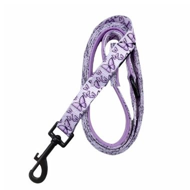 Funny harness + leash