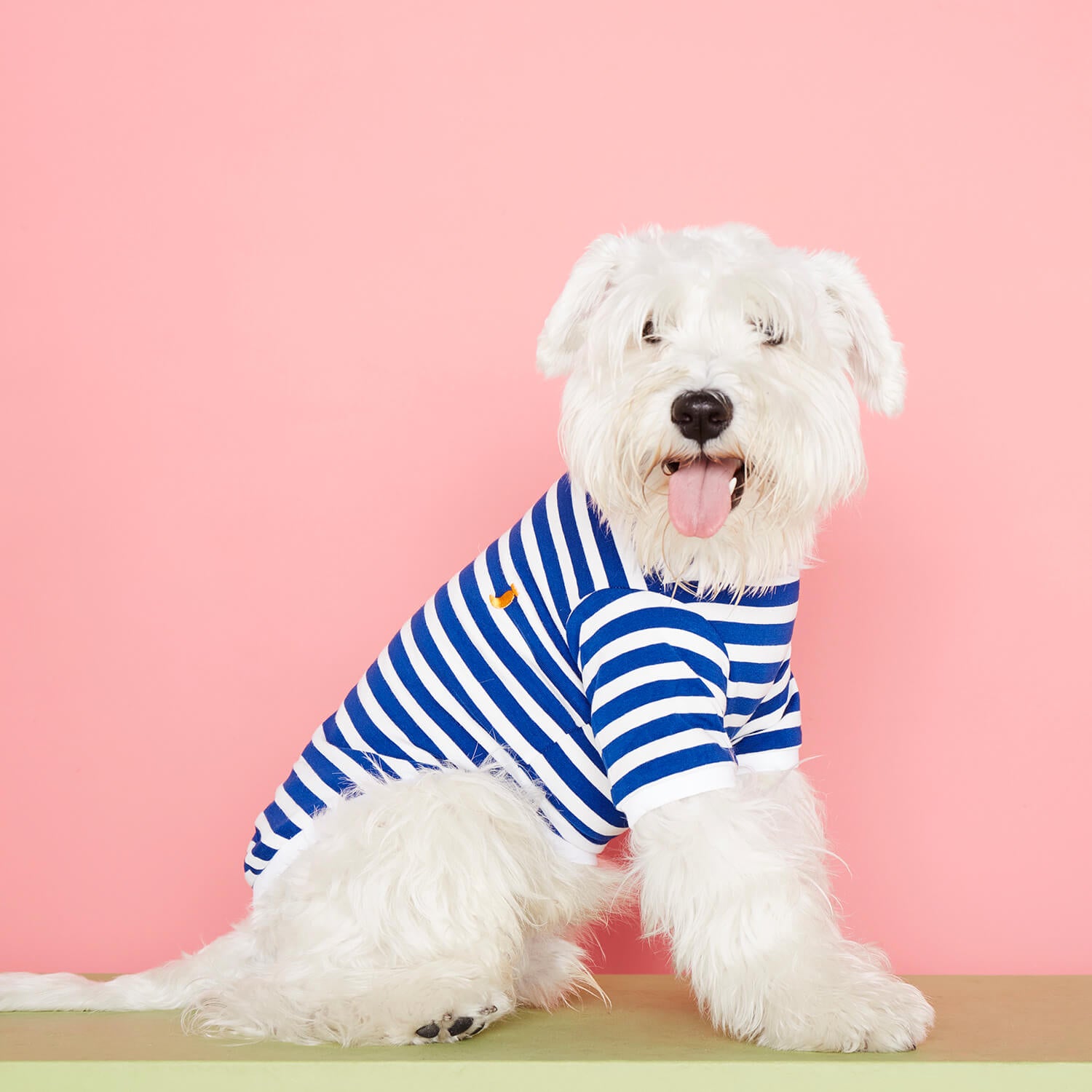 Striped T-shirt - white and blue