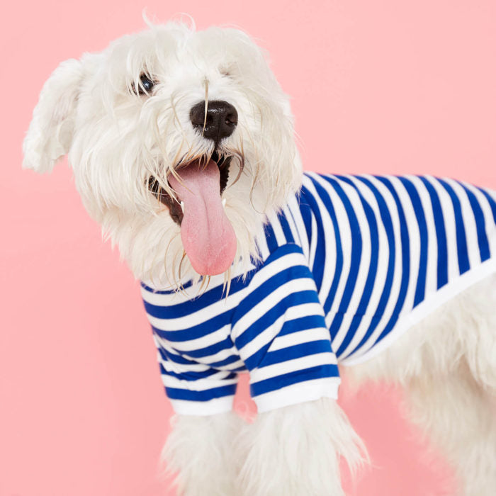 Striped T-shirt - white and blue