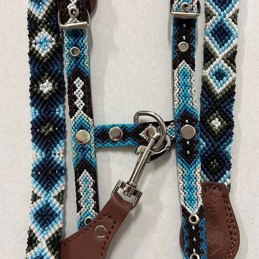 Harness + Leash "Mexico &amp; Clouds"