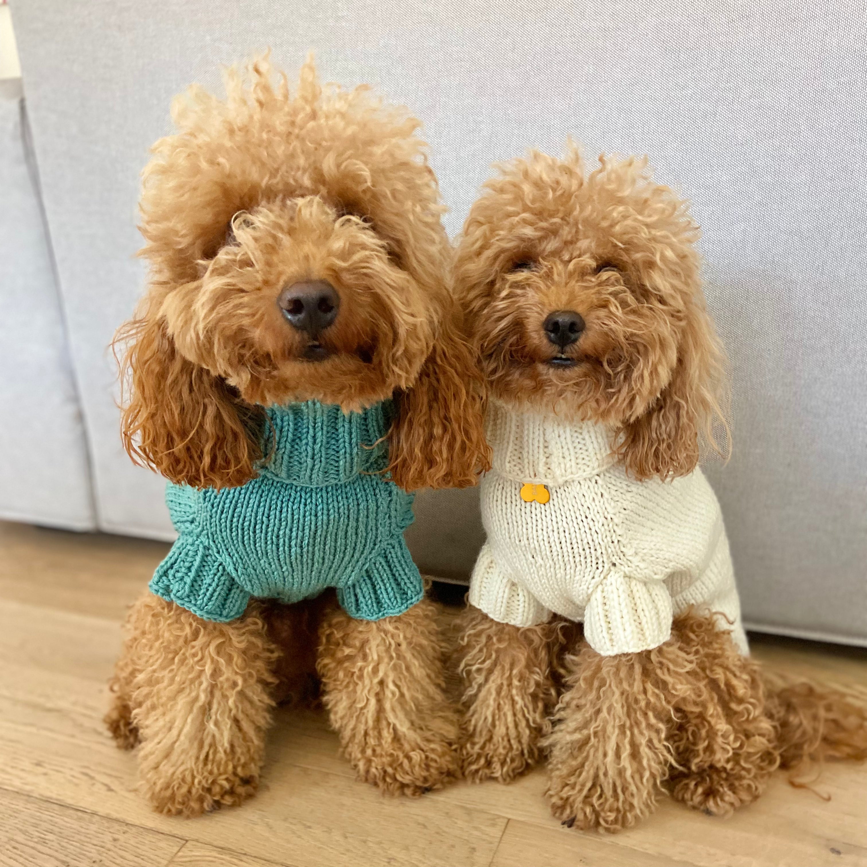 Maglioncino "Dafne" in vari colori - Fatto a Mano in Lana Merino - per cani di piccola taglia