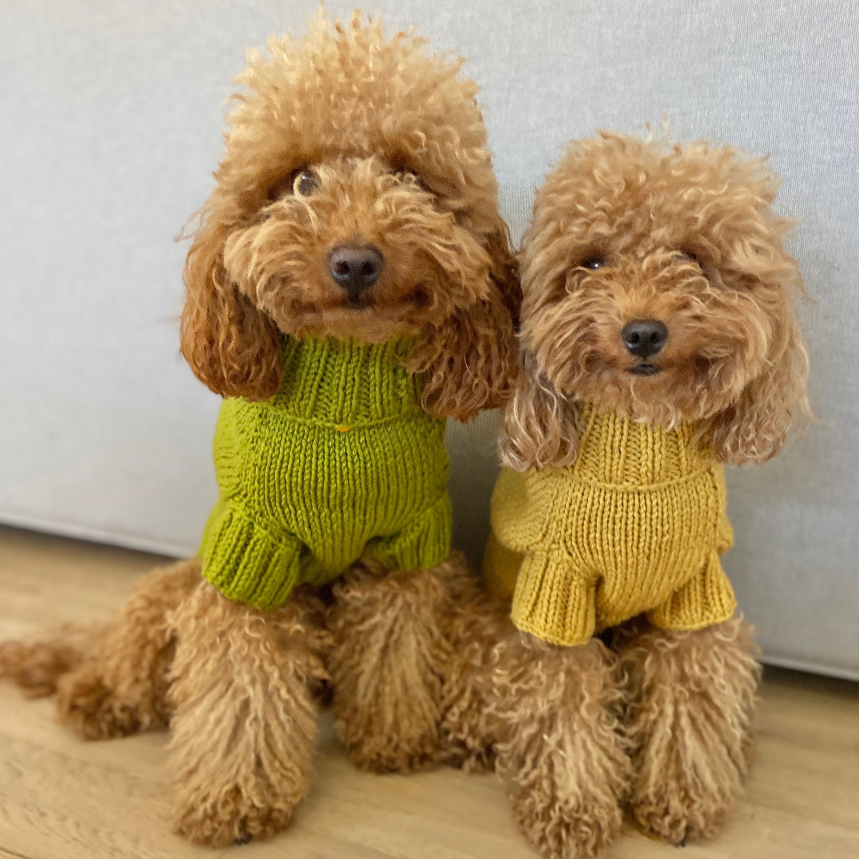 Maglioncino "Dafne" in vari colori - Fatto a Mano in Lana Merino - per cani di piccola taglia