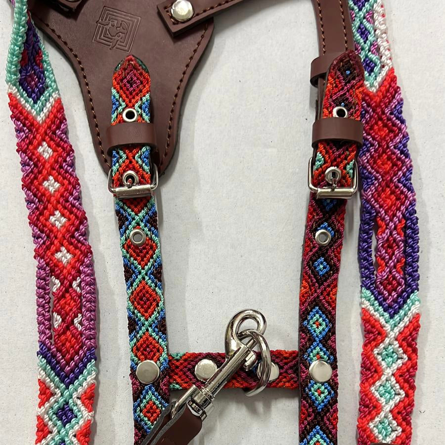 Harness + Leash "Mexico &amp; Clouds"