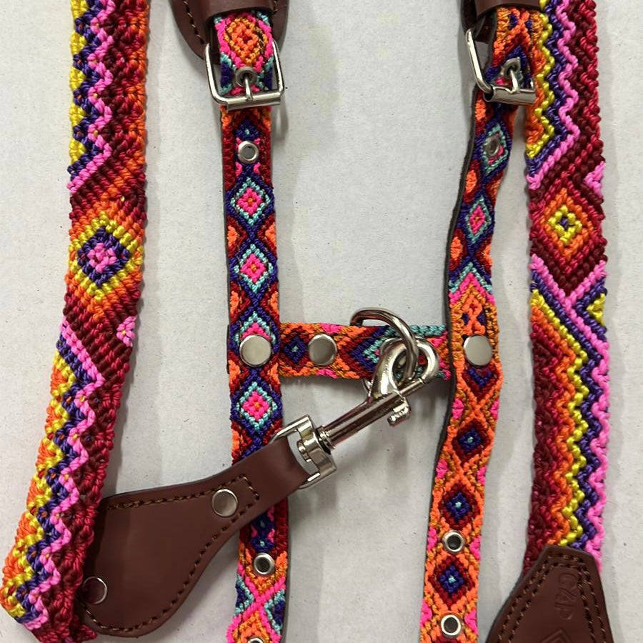 Harness + Leash "Mexico &amp; Clouds"