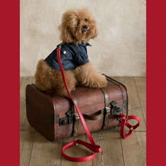 Leash in red leather