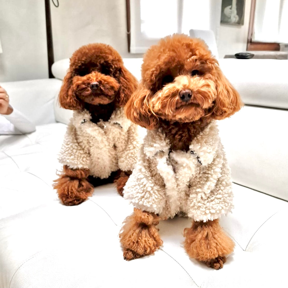 Cappottino Teddy - panna