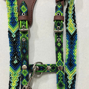 Harness + Leash "Mexico &amp; Clouds"