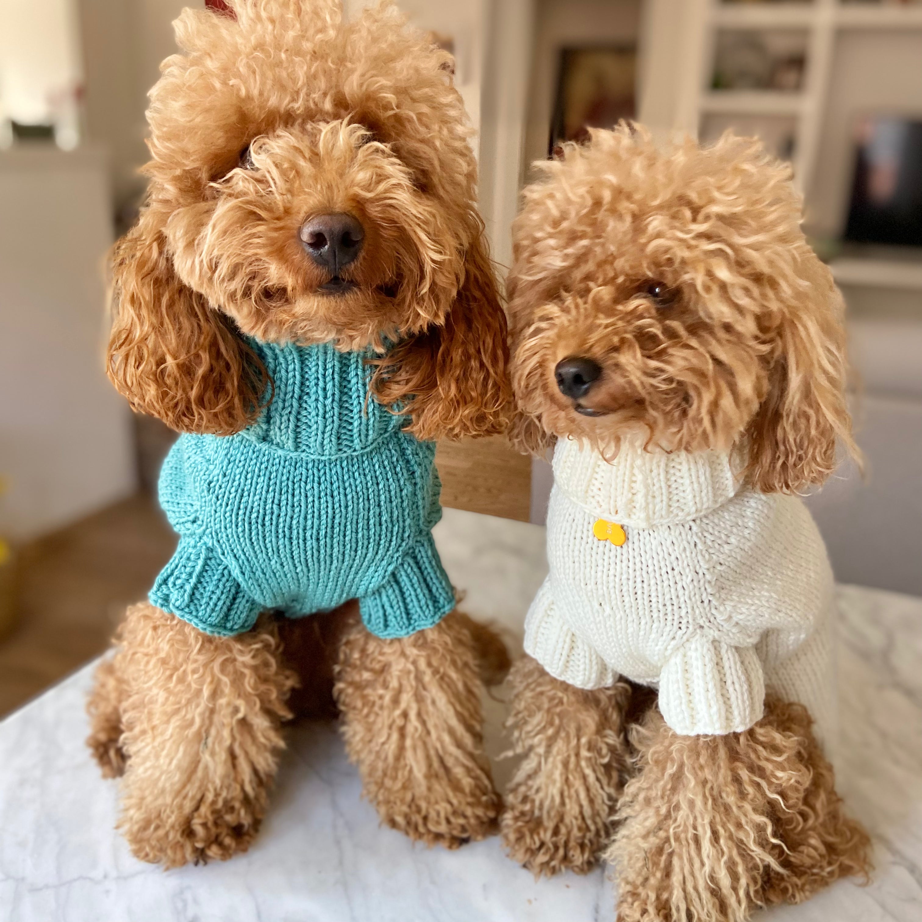 Maglioncino "Dafne" in vari colori - Fatto a Mano in Lana Merino - per cani di piccola taglia