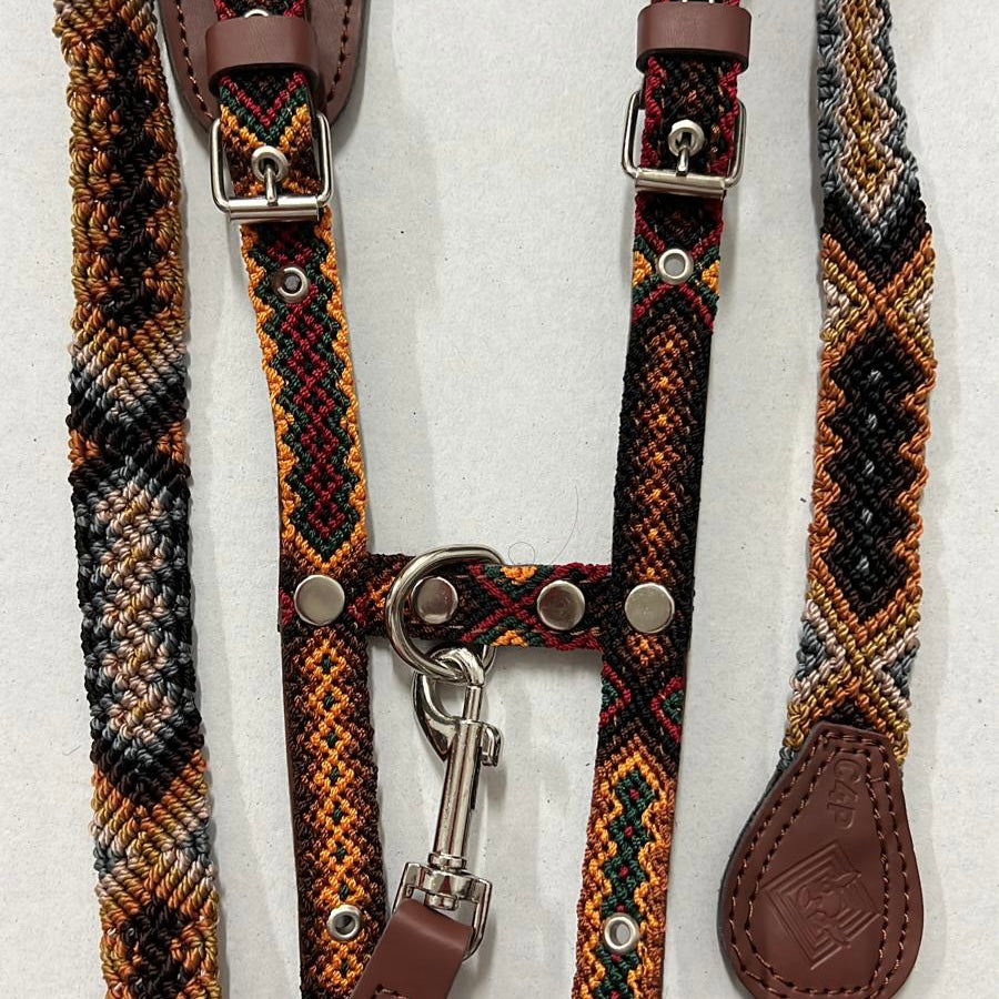 Harness + Leash "Mexico &amp; Clouds"