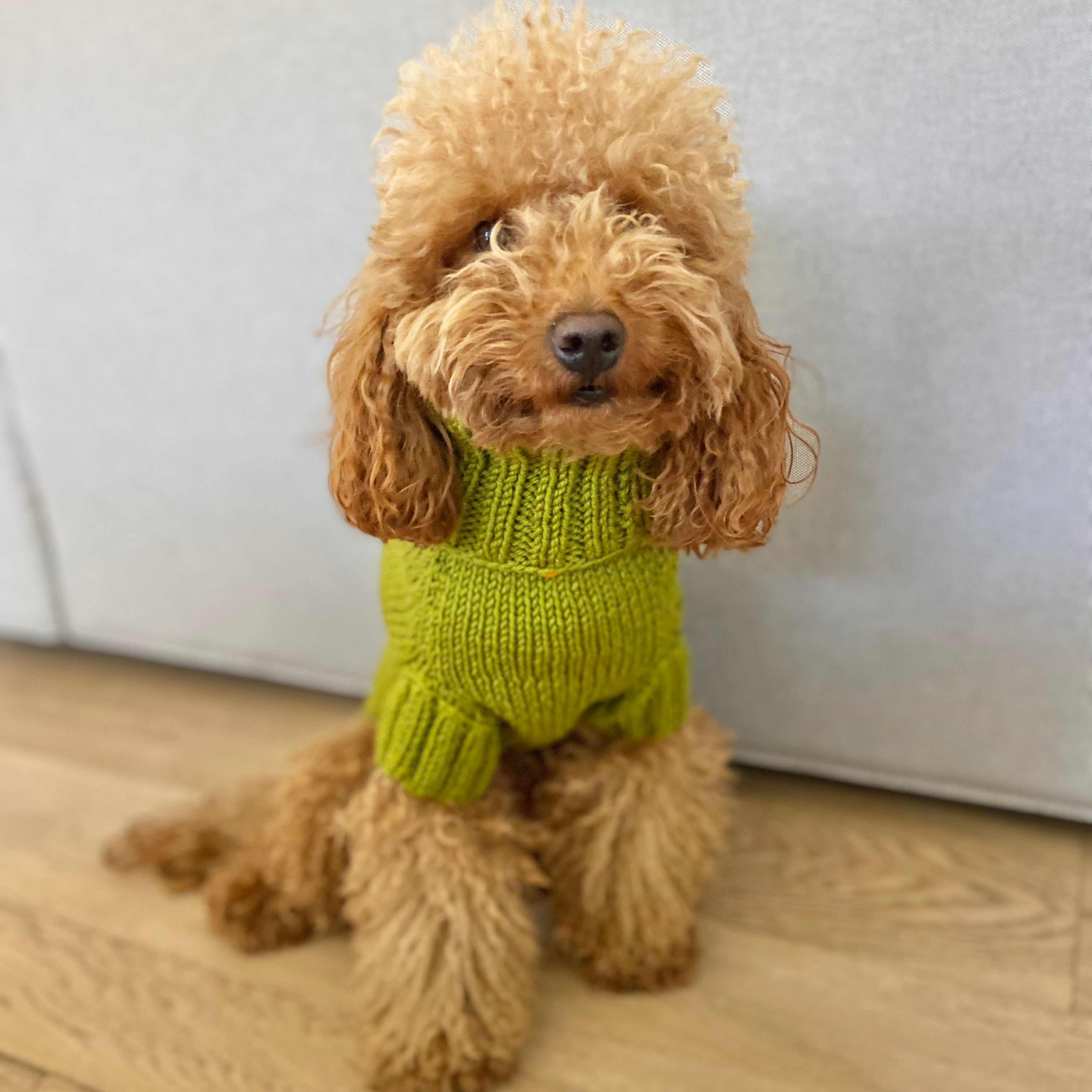 Maglioncino "Dafne" in vari colori - Fatto a Mano in Lana Merino - per cani di piccola taglia