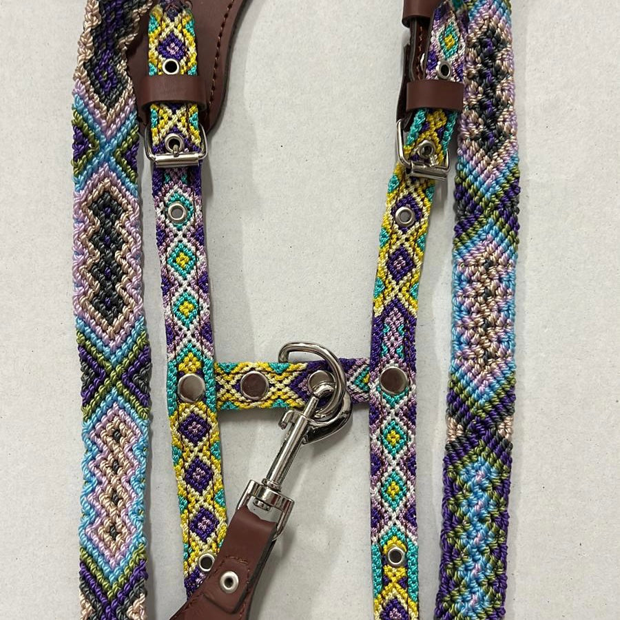 Harness + Leash "Mexico &amp; Clouds"