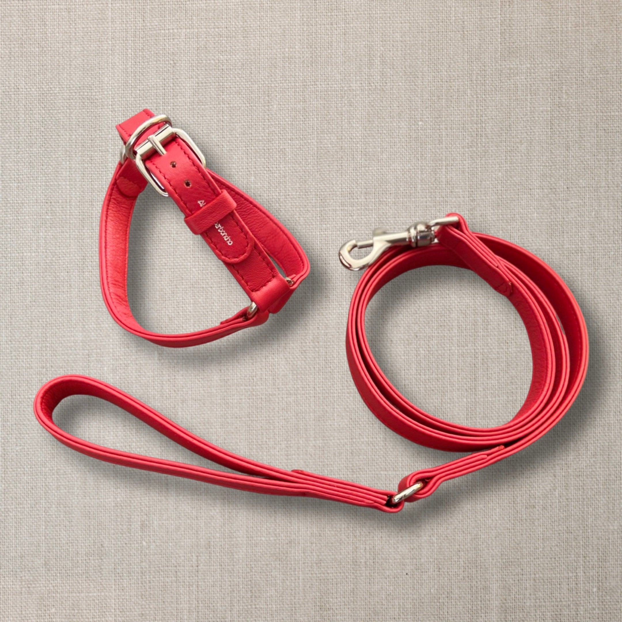 Leash in red leather