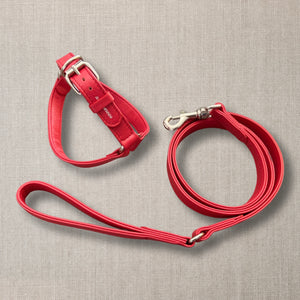 Leash in red leather