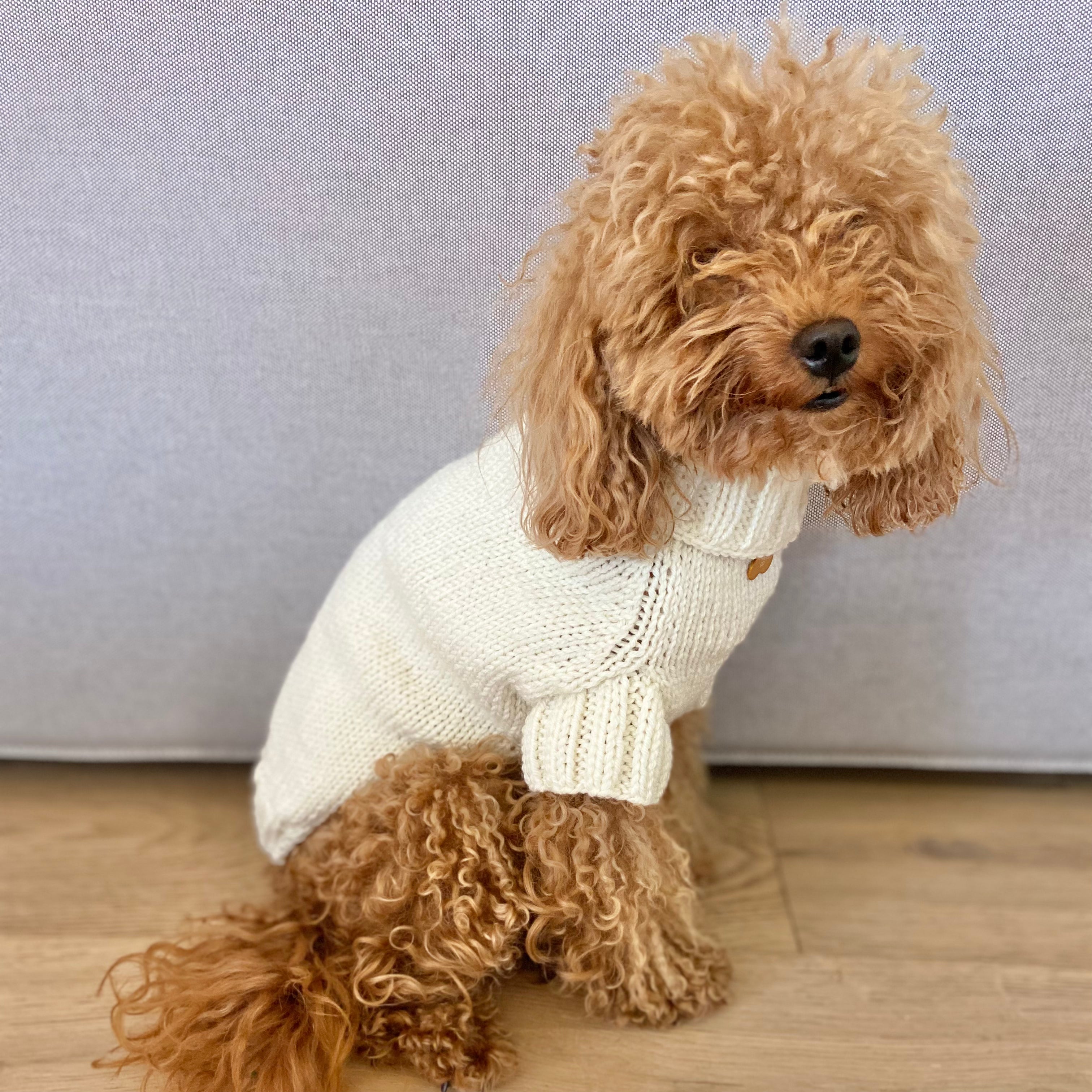 Maglioncino "Dafne" in vari colori - Fatto a Mano in Lana Merino - per cani di piccola taglia