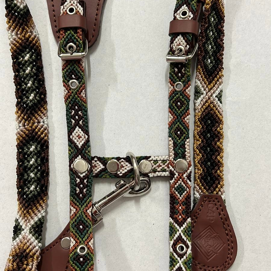 Harness + Leash "Mexico &amp; Clouds"