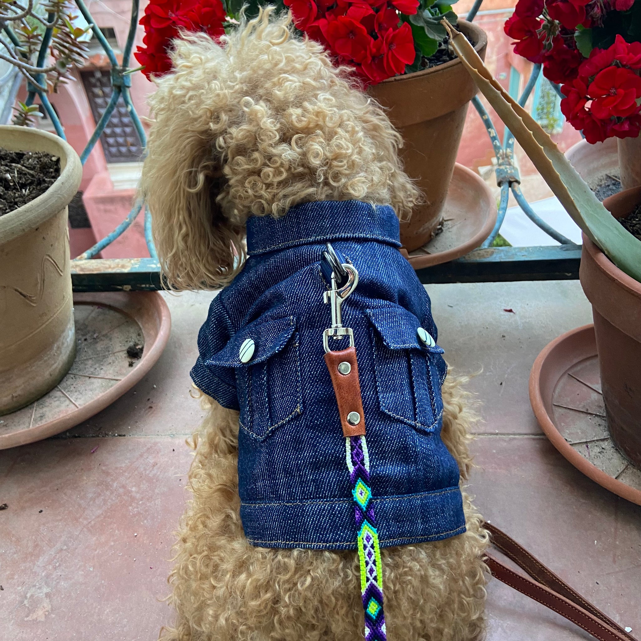 Giacchetto jeans denim
