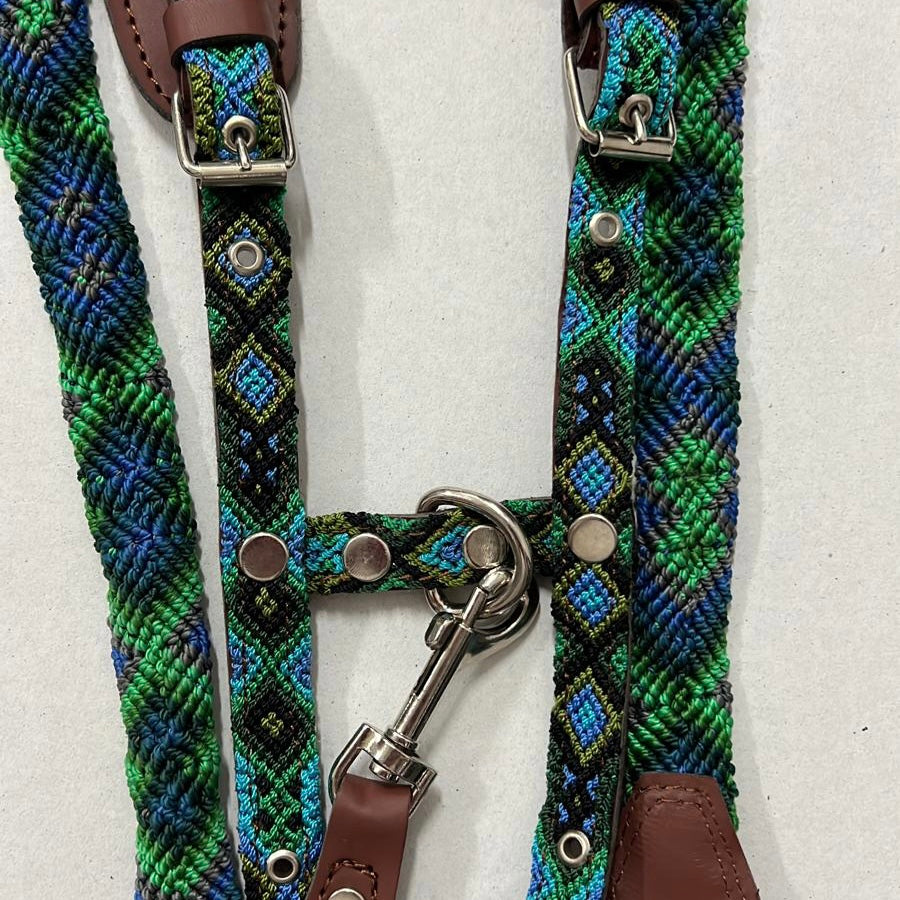 Harness + Leash "Mexico &amp; Clouds"