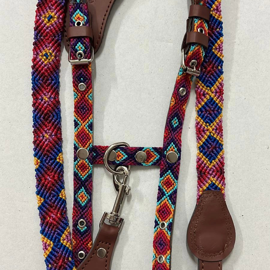 Harness + Leash "Mexico &amp; Clouds"