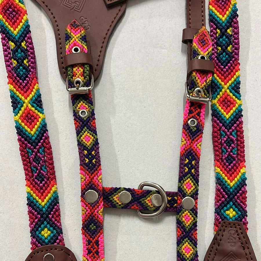 Harness + Leash "Mexico &amp; Clouds"