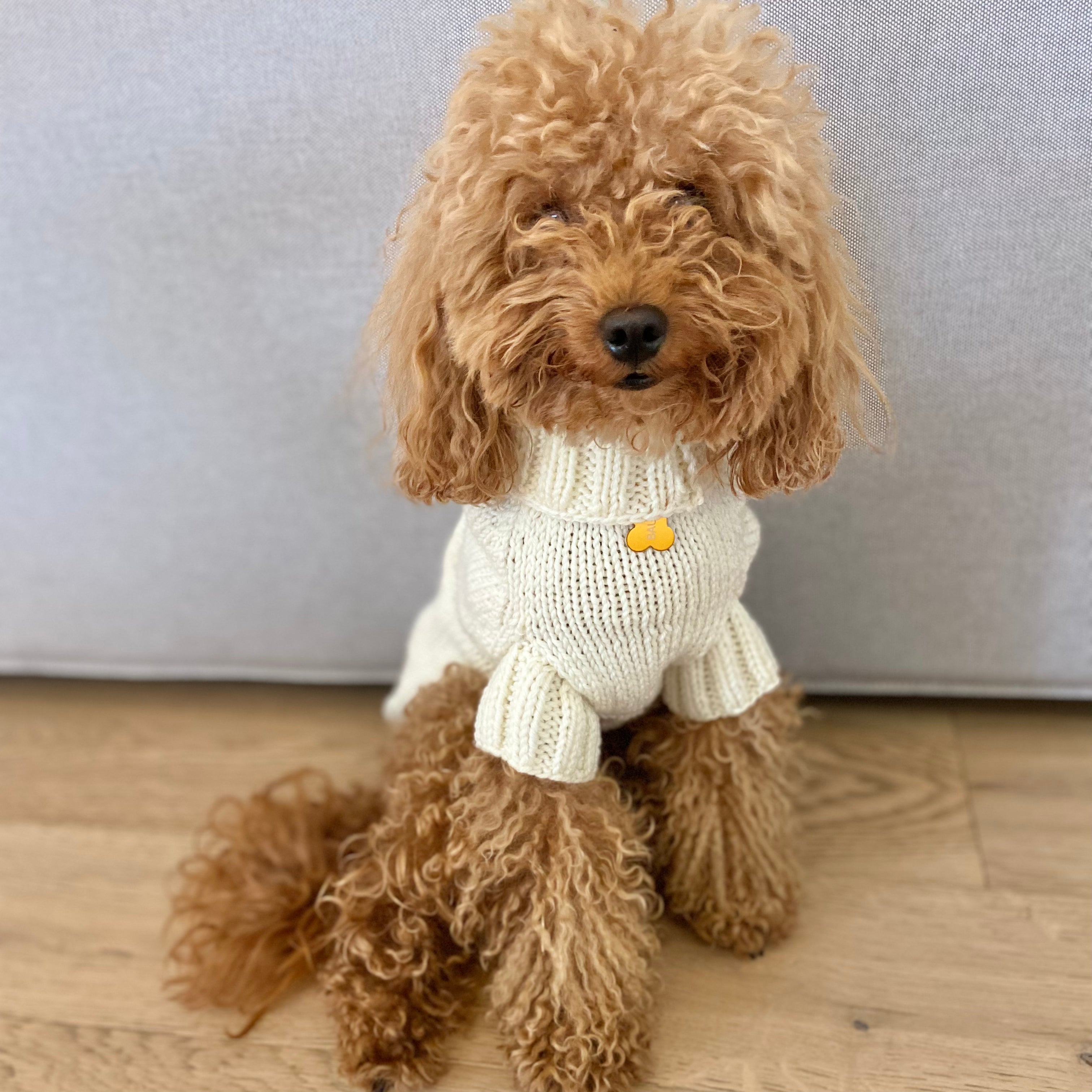Maglioncino "Dafne" in vari colori - Fatto a Mano in Lana Merino - per cani di piccola taglia