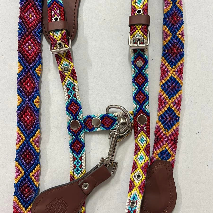 Harness + Leash "Mexico &amp; Clouds"