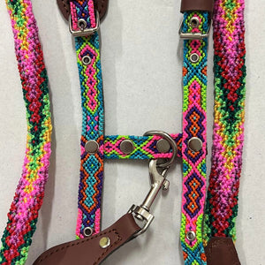 Harness + Leash "Mexico &amp; Clouds"