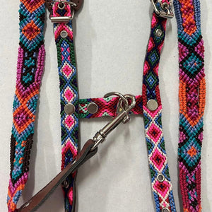 Harness + Leash "Mexico &amp; Clouds"