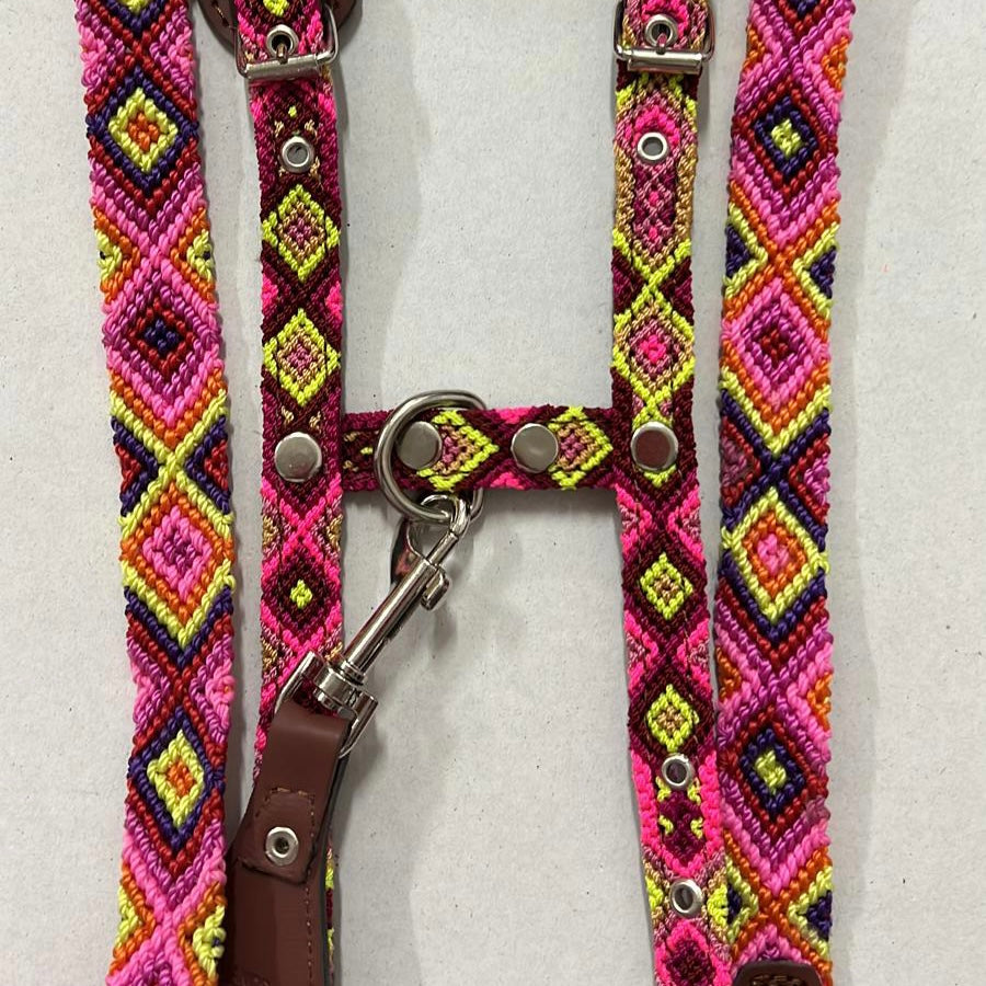 Harness + Leash "Mexico &amp; Clouds"