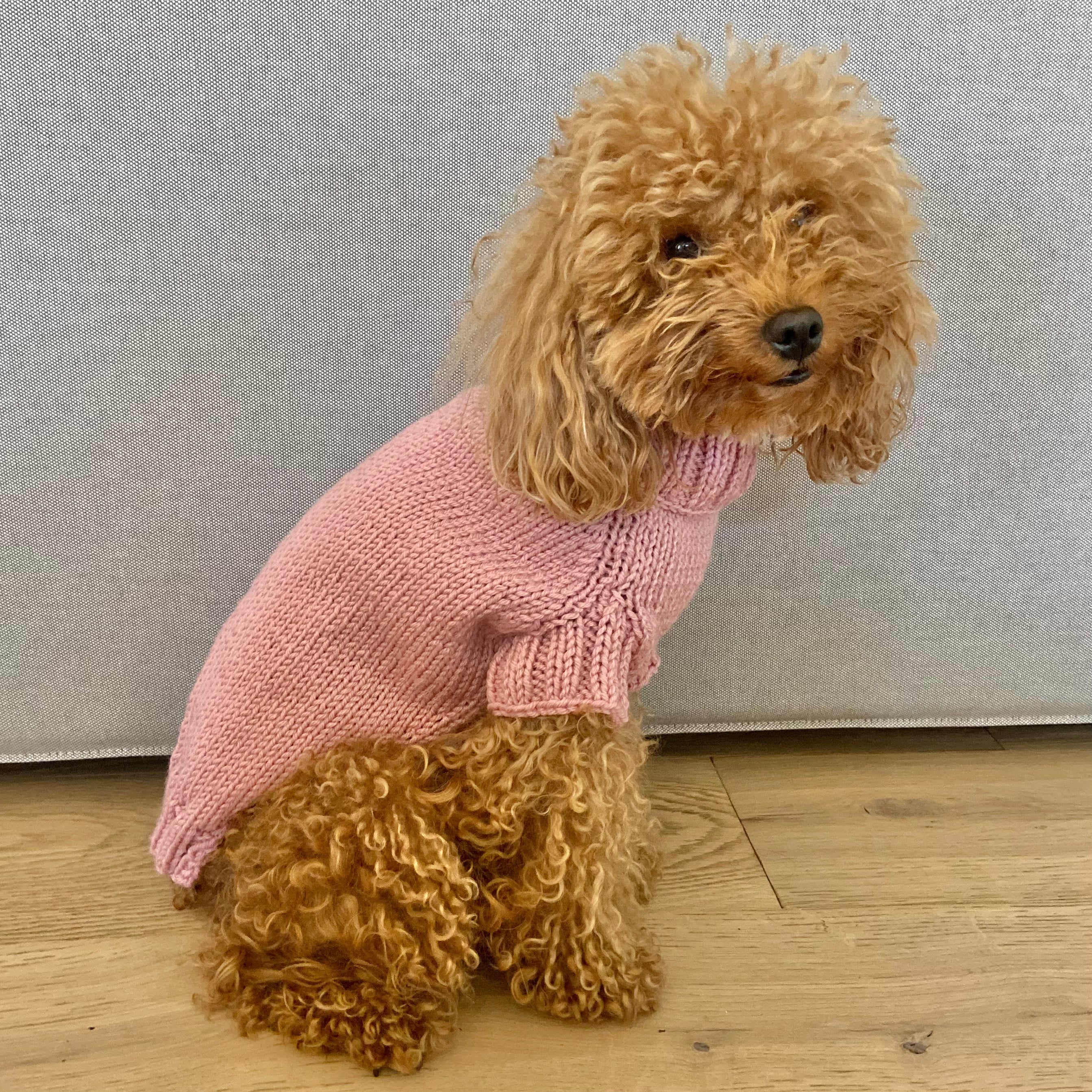 Maglioncino "Dafne" in vari colori - Fatto a Mano in Lana Merino - per cani di piccola taglia