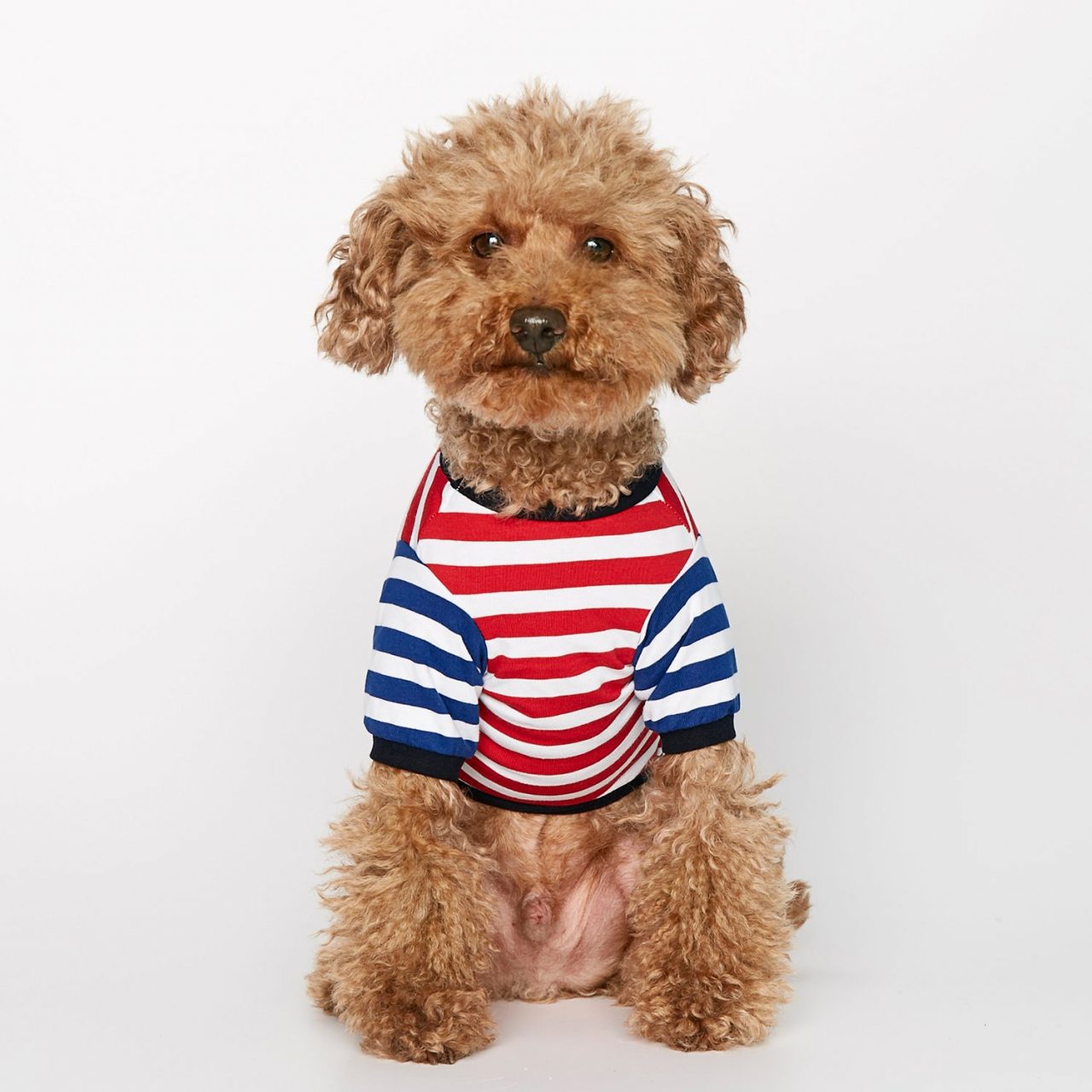 Striped T-shirt - red and blue